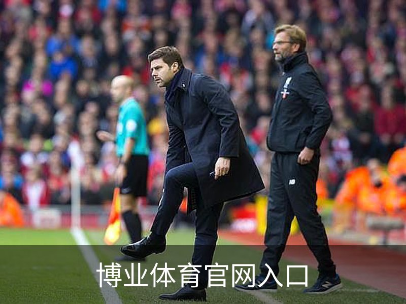 了解博业体育官网入口